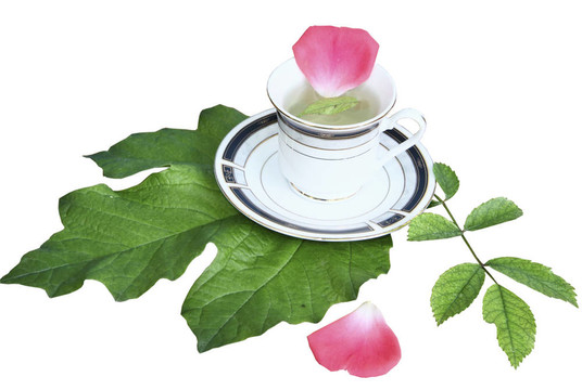 綠茶上的馬克杯