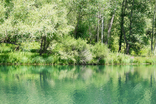 湖公園