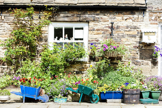 隨著植物在Blanchland的房子；Northumberland；英國