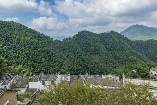 木坑竹海