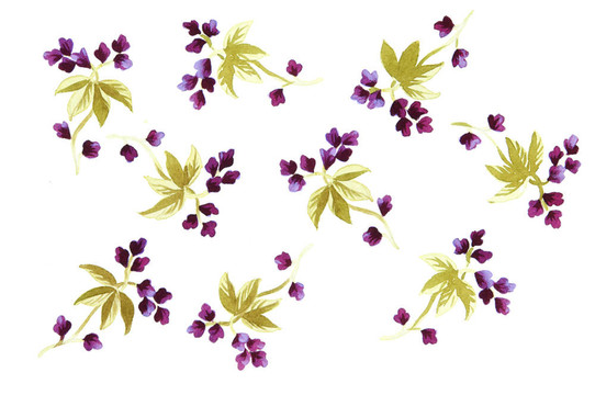 水彩畫(huà)中花的色彩闡釋