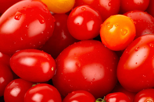 五颜六色的新鲜有机番茄水滴