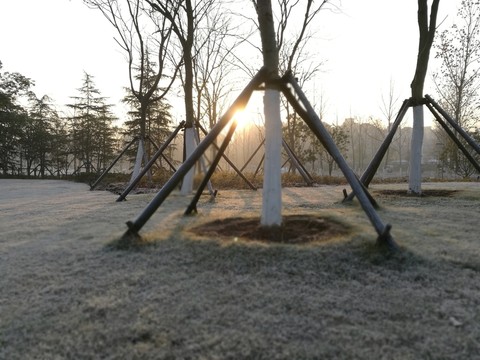 別樣公園風(fēng)貌