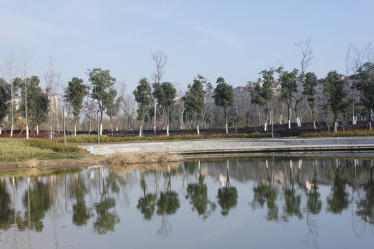 別樣公園風(fēng)貌