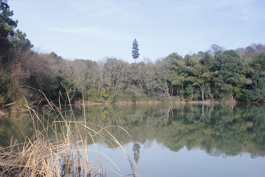 別樣公園風(fēng)貌