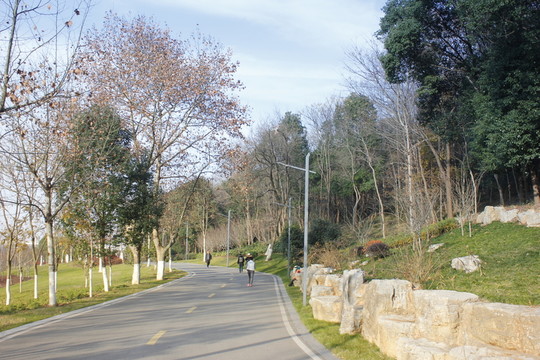 別樣公園風(fēng)貌