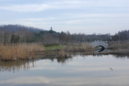 藝術(shù)公園