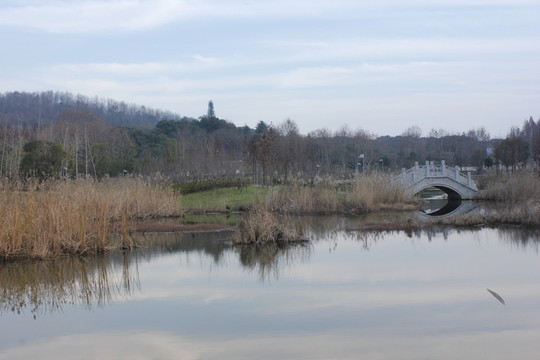 藝術(shù)公園