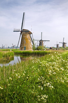 風(fēng)車在Kinderdijk；荷蘭之春