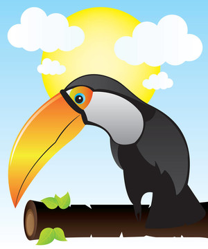 奇異鳥在樹枝上