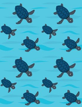 海龜