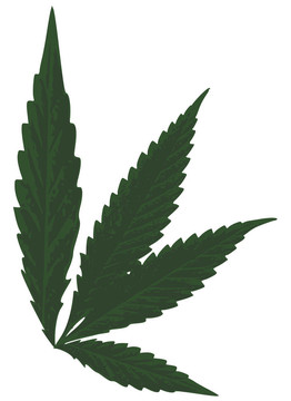 大麻葉