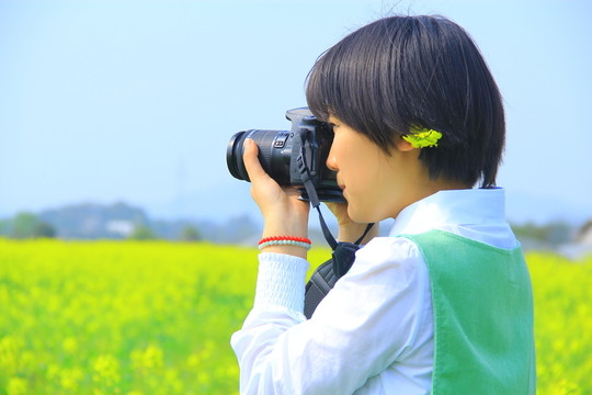 拍油菜花