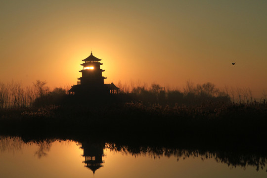 日出