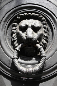 門環(huán)