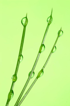 水滴