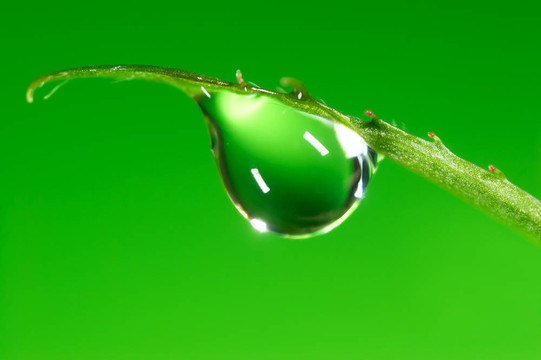 水滴