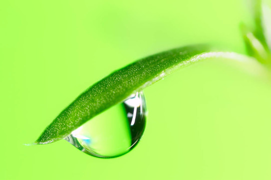 水滴