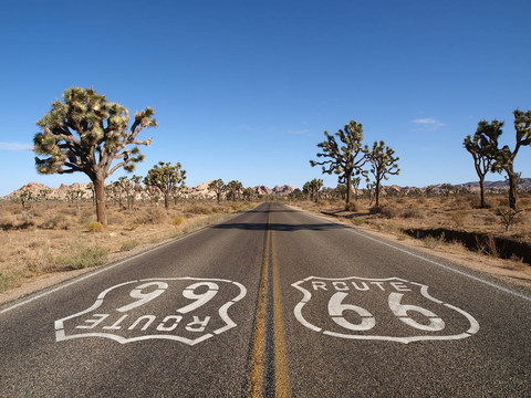 路線66與Joshua Trees