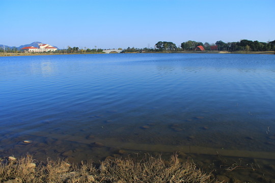 望城東湖濕地公園