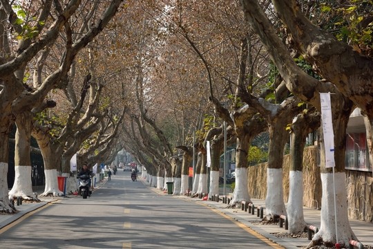 南京藝術(shù)學(xué)院