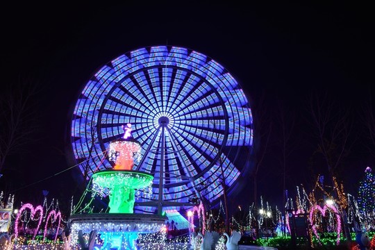 摩天輪夜景實(shí)拍素材