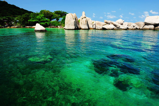 綠色的海景