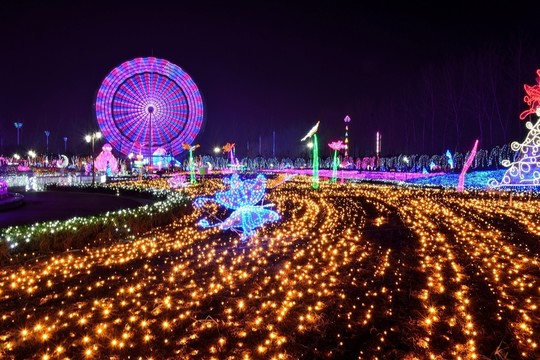摩天輪夜景