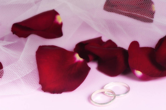 魅力花和結(jié)婚戒指