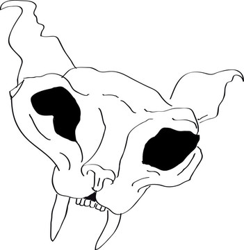 骷髏骨