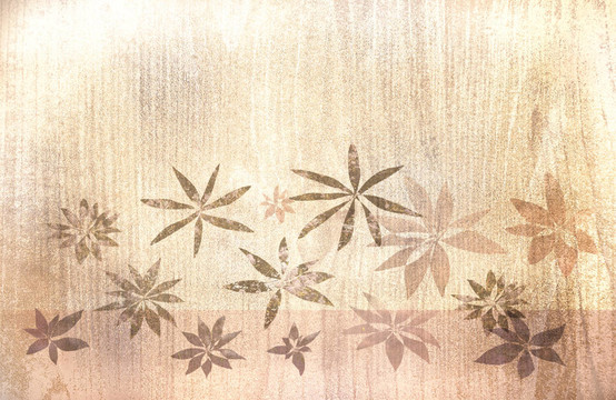 破舊的木質背景與花卉的細節(jié)。