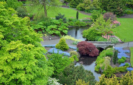 春天郁郁蔥蔥的花園