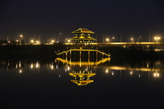 洋湖濕地公園夜景