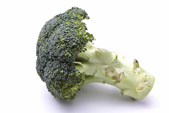 鮮西蘭花
