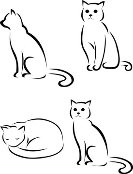 貓的剪影