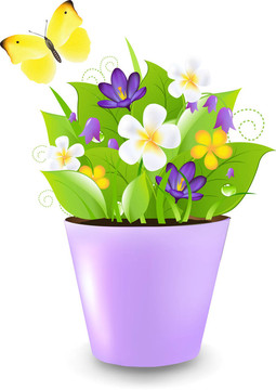 丁香花花盆