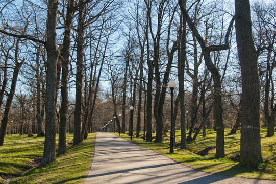 在公園Kadriorg大道；在早春