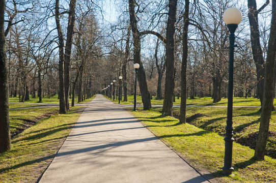 在公園Kadriorg大道；在早春