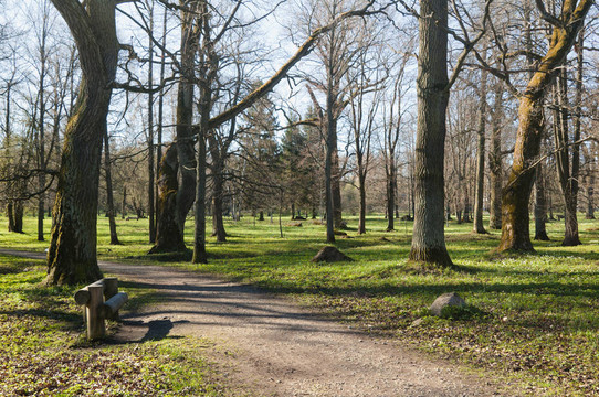 在公園Kadriorg大道；在早春