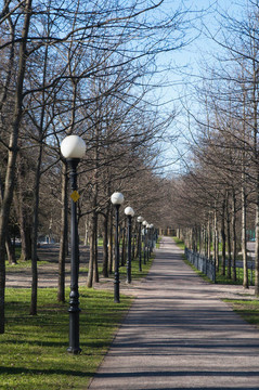 在公園Kadriorg大道；在早春