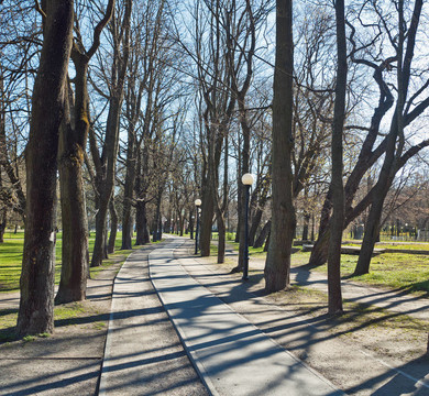 在公園Kadriorg大道；在早春