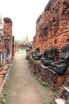 泰國Ayutthaya市