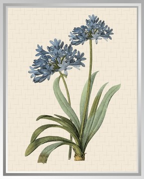 藍(lán)色蘭花 高品質(zhì) 裝飾畫