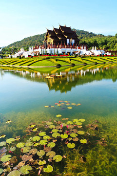 浩康鑾北泰國皇家花卉博覽會；Chiangmai