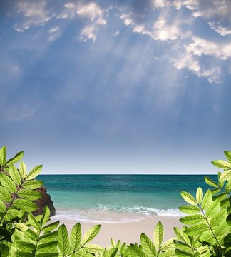 夏日天堂觀