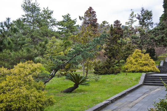 公園的植物園