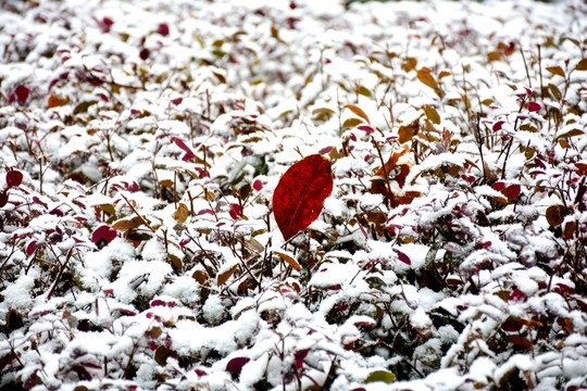 下雪素材