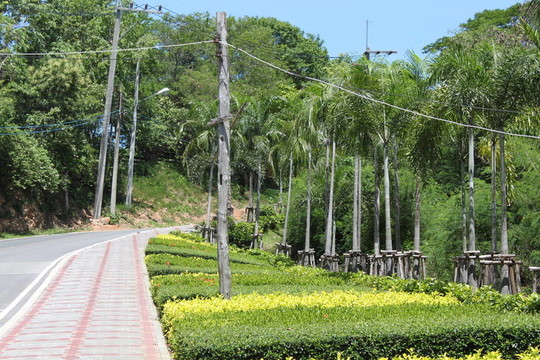 在安裝pratamnak路