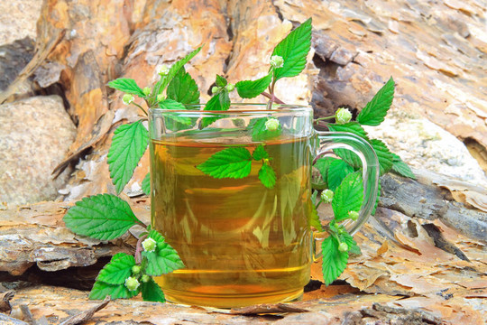 茶與阿茲臺克香草代替糖