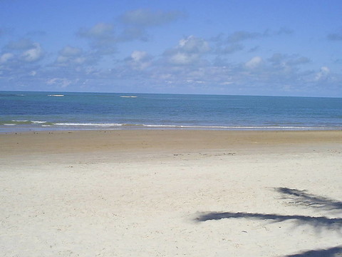 Sombra de Coqueiro。
